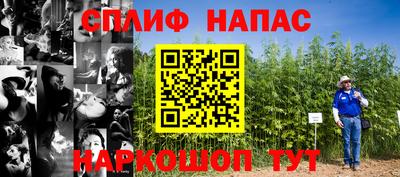 мдпв Ефремов